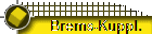 Brems-Kuppl. 