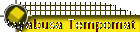 Hayabusa Tempomat